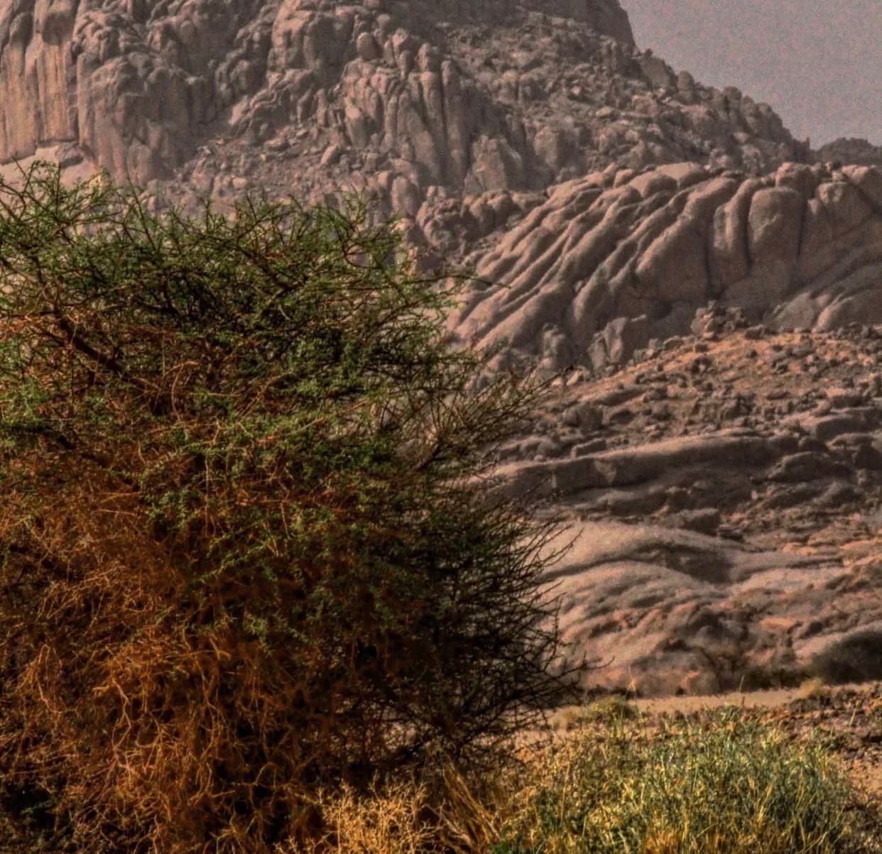 على خطى الطوارق — 4 أيام 2