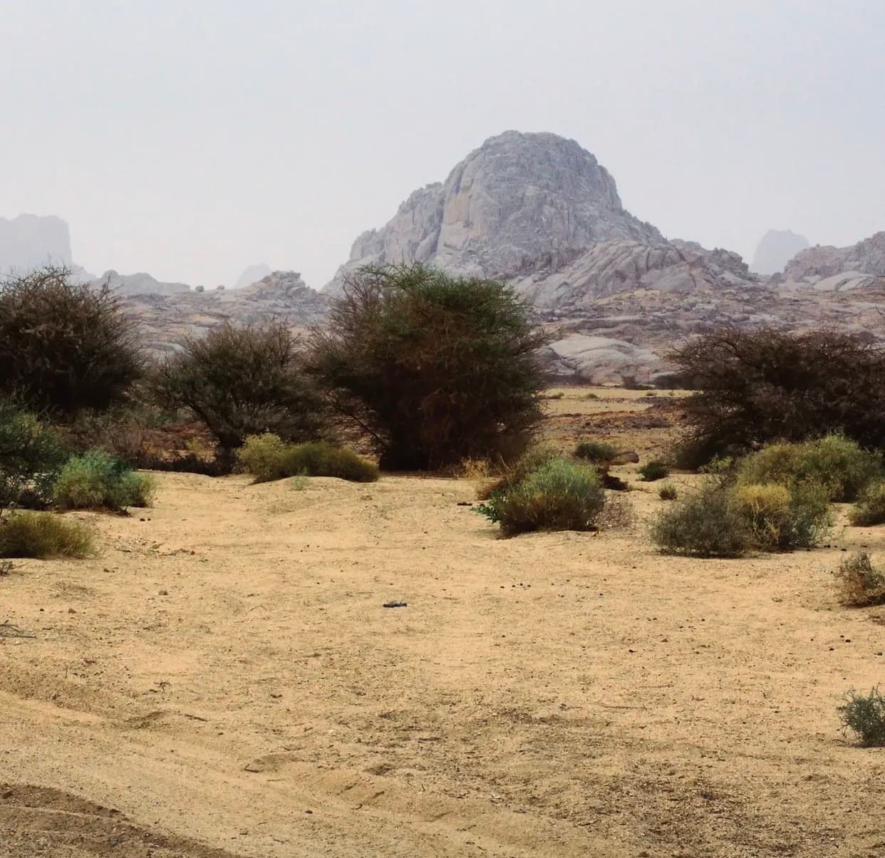 على خطى الطوارق — 4 أيام