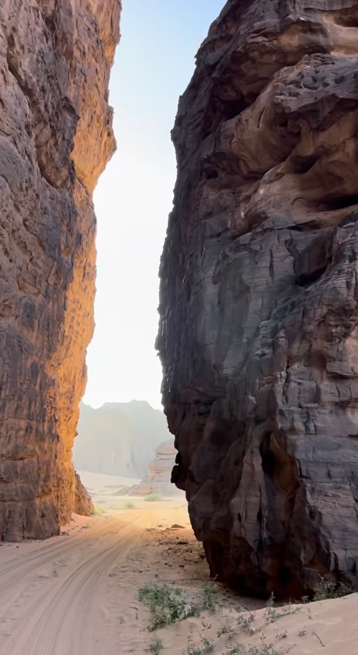سحر الصحراء 4