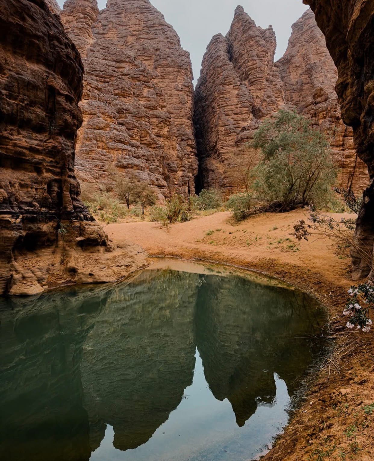 سحر الصحراء 7