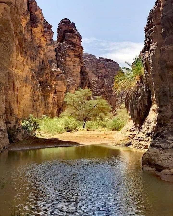سحر الصحراء 8